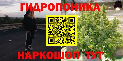 прущие крисы Донской