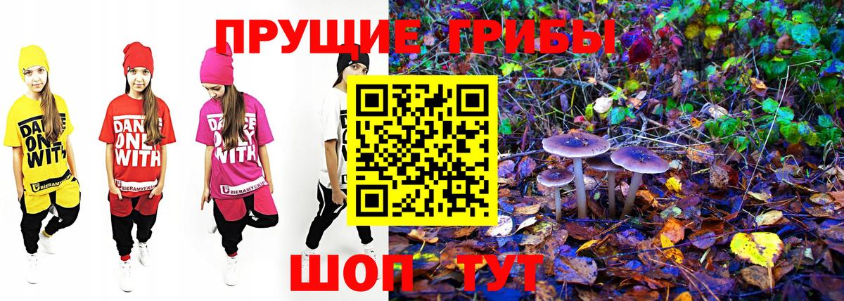 Нефтекамск  Галлюциногенные грибы Psilocybe  Вход с VPN 